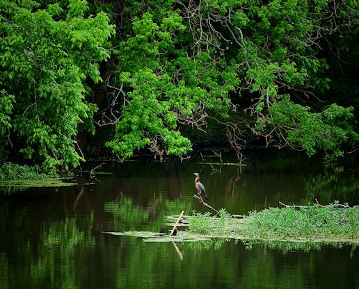 park shot 3_Snapseed