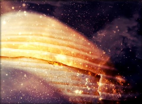 Galveston21_Snapseed_pxr