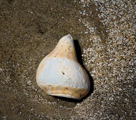 Galveston22_Snapseed