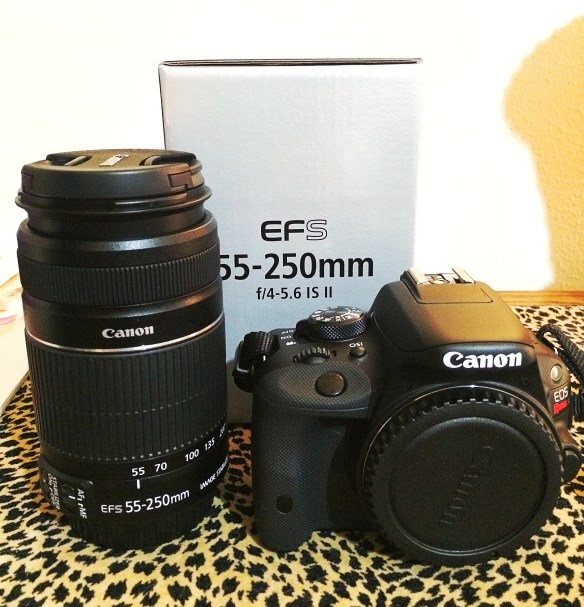 Photo May 29, 6 50 48 PM_Snapseed