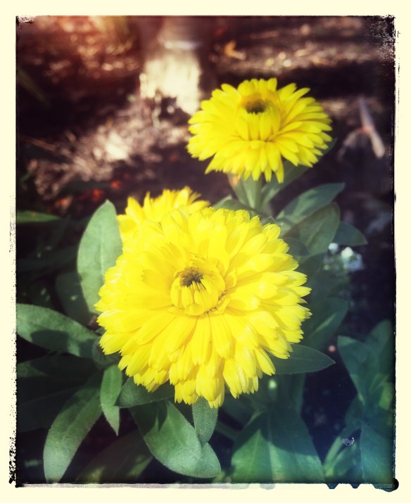 Photo Nov 27, 12 01 10 PM