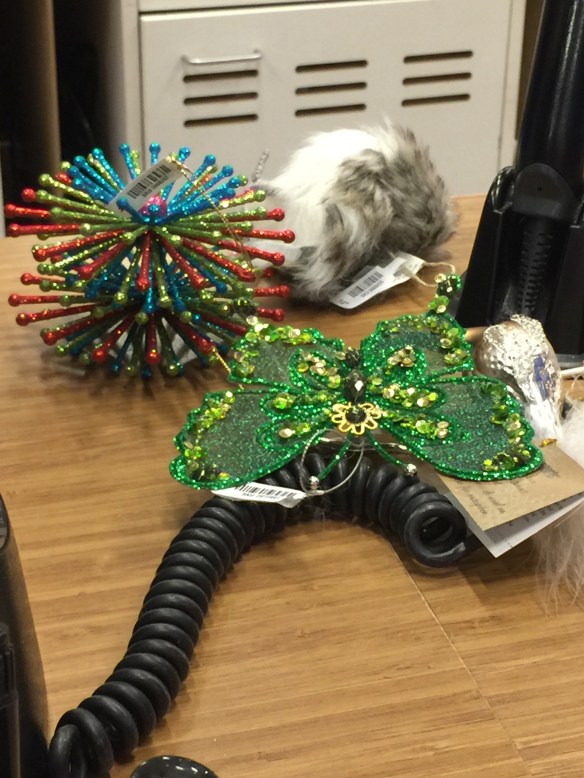 Photo Dec 31, 1 00 42 PM